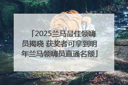 2025兰马最佳领嗨员揭晓 获奖者可拿到明年兰马领嗨员直通名额