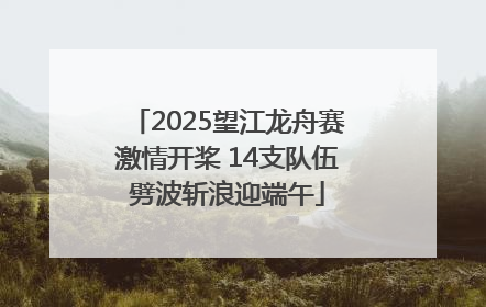 2025望江龙舟赛激情开桨 14支队伍劈波斩浪迎端午
