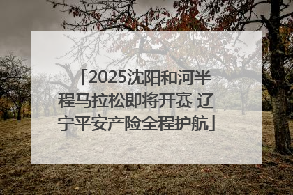 2025沈阳和河半程马拉松即将开赛 辽宁平安产险全程护航
