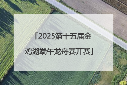 2025第十五届金鸡湖端午龙舟赛开赛