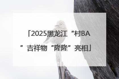 2025黑龙江“村BA”吉祥物“隆隆”亮相