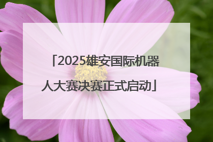 2025雄安国际机器人大赛决赛正式启动