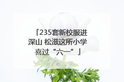 235套新校服进深山 松滋这所小学喜过“六一”