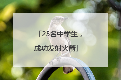 25名中学生，成功发射火箭