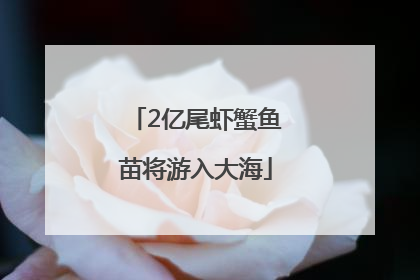 2亿尾虾蟹鱼苗将游入大海