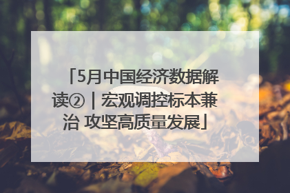 5月中国经济数据解读②｜宏观调控标本兼治 攻坚高质量发展
