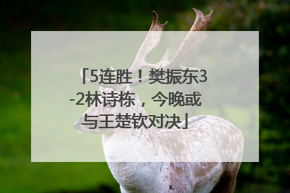 5连胜！樊振东3-2林诗栋，今晚或与王楚钦对决