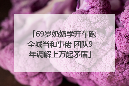 69岁奶奶学开车跑全城当和事佬 团队9年调解上万起矛盾