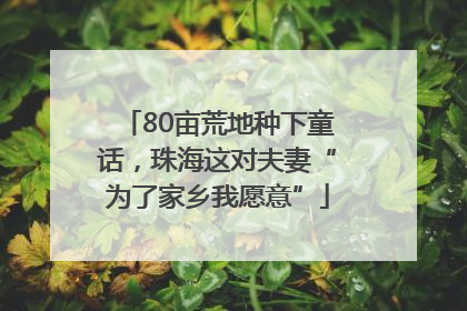 80亩荒地种下童话，珠海这对夫妻“为了家乡我愿意”