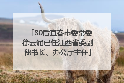 80后宜春市委常委徐云涌已任江西省委副秘书长、办公厅主任