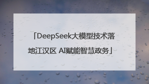 DeepSeek大模型技术落地江汉区 AI赋能智慧政务